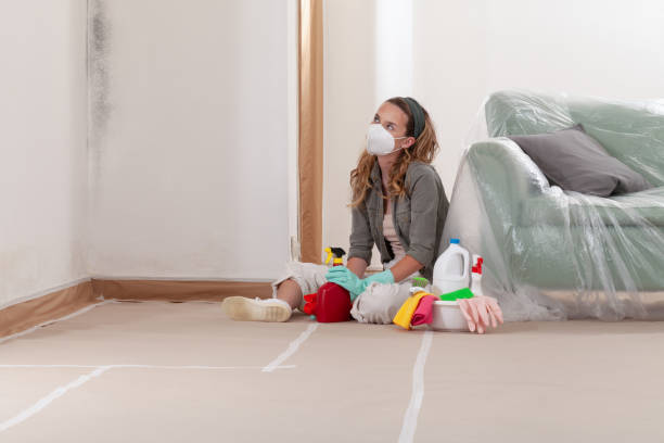 Reliable Mold Remediation contractor in West Babylon, NY by WQB Mold Removal